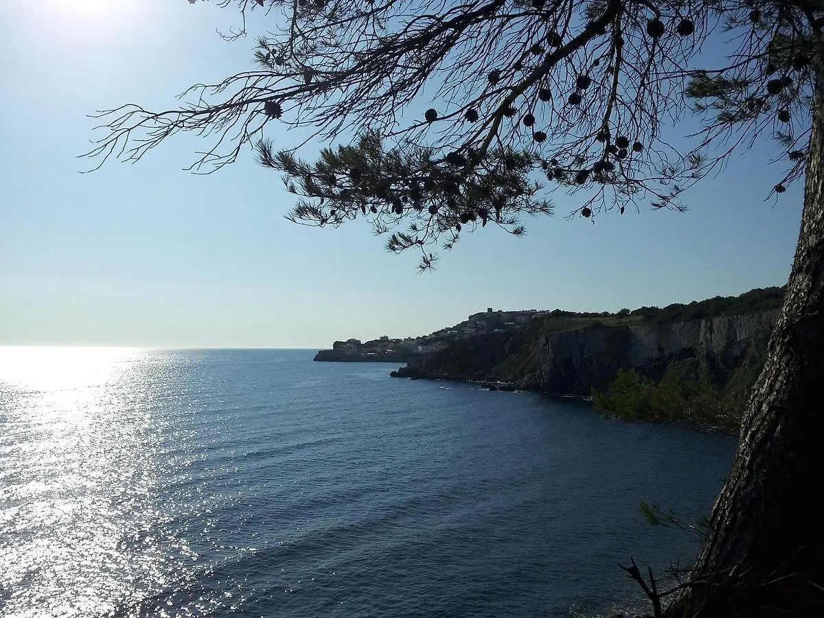Appartement Apartamentos Stilmar Espagne